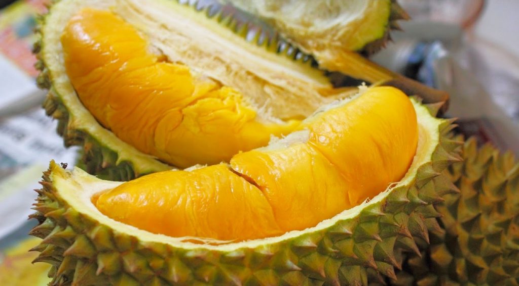 durian pulps durian pulp